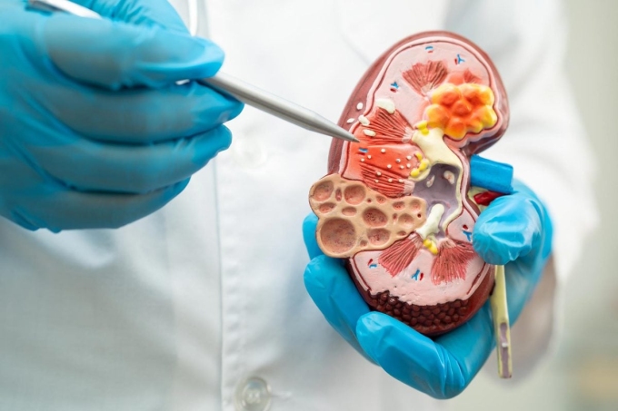 Ảnh minh họa: SciTech Daily