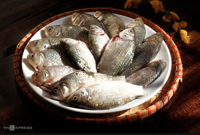 Ăn cá thường xuyên giúp bảo vệ và duy trì chức năng thận khỏe mạnh. Ảnh: Bùi Thủy