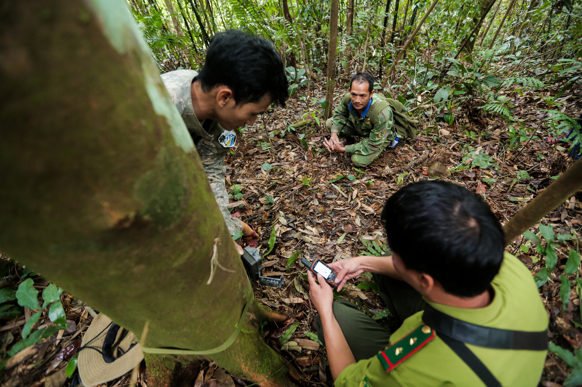 'Biệt đội bẫy ảnh' săn tìm dấu chân thú hoang- Ảnh 1.