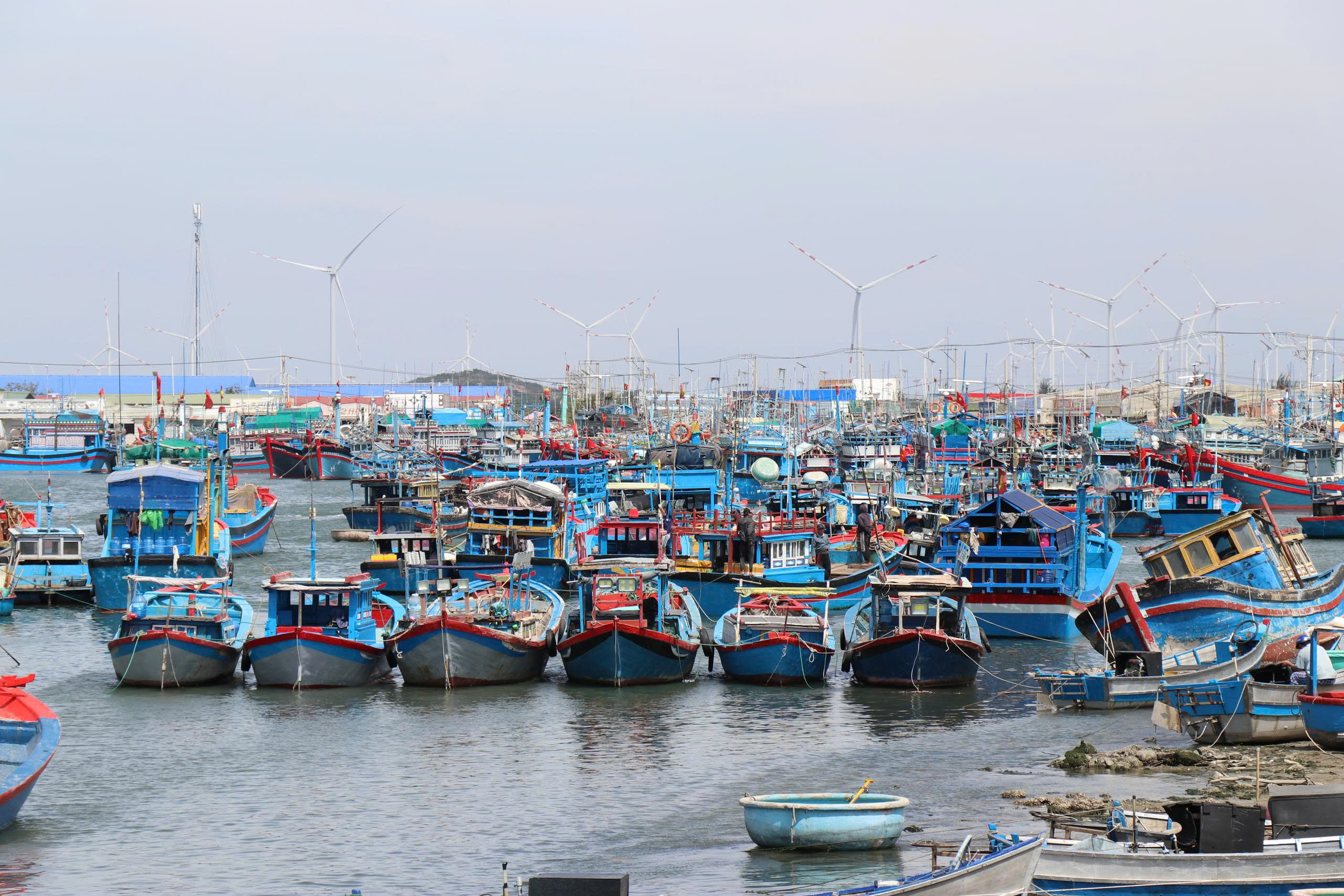 Khánh Hòa giải quyết 33 kiến nghị của doanh nghiệp như thế nào?- Ảnh 1.