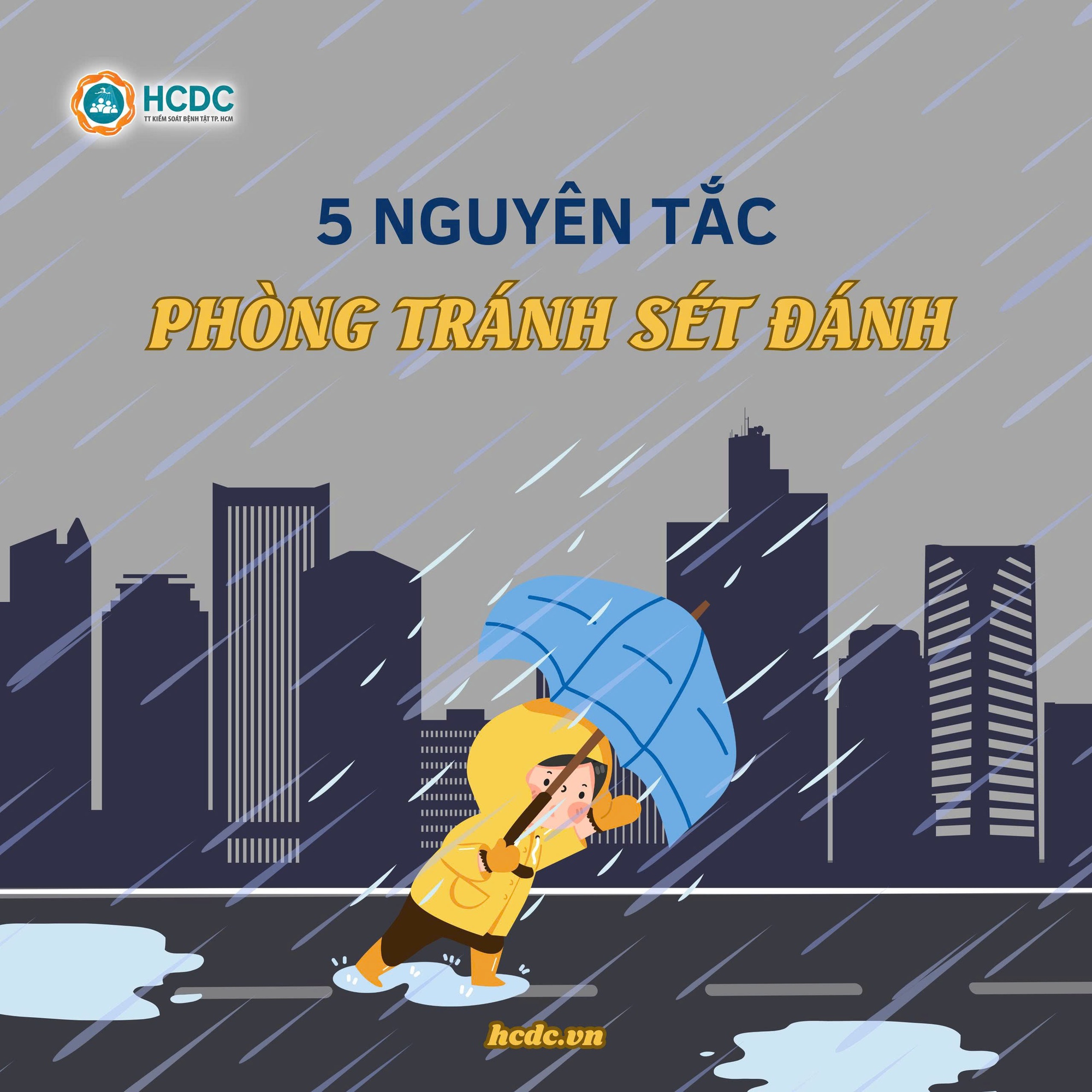 5 nguyên tắc phòng tránh sét đánh- Ảnh 2.