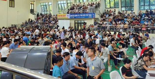 Bỏ cọc đấu giá đất sẽ bị ‘cấm cửa’ 5 năm, bồi thường toàn bộ thiệt hại - Ảnh 1.