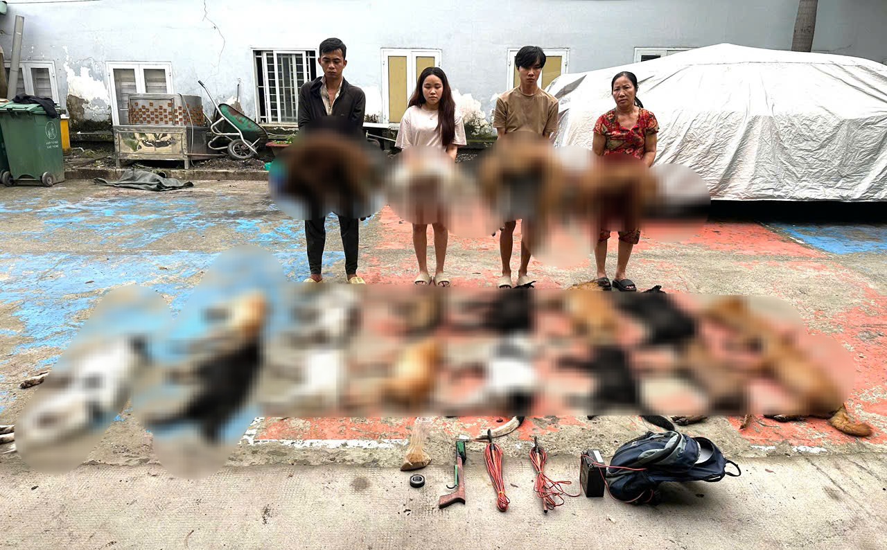 Công an TP.HCM triệt phá nhóm trộm và tiêu thụ chó - Ảnh 1.