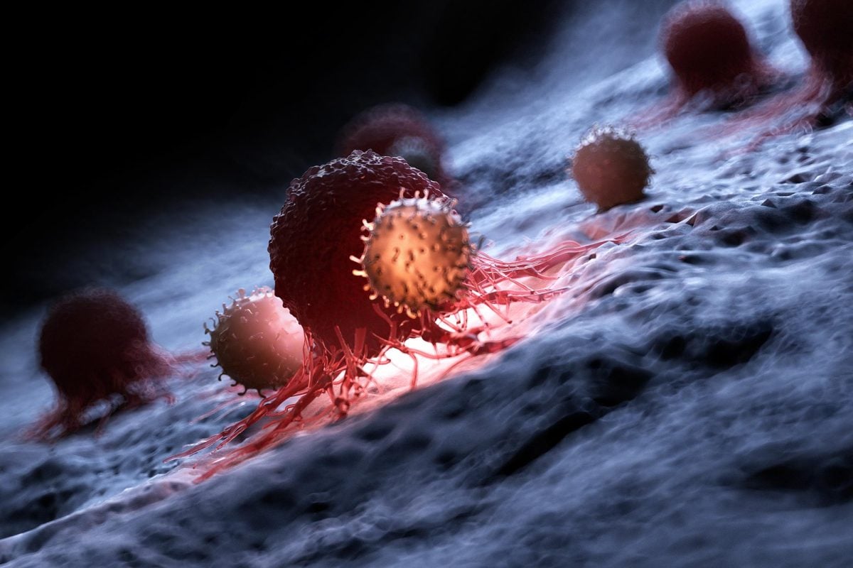 Đột phá: Dùng gene virus lồng trong vi khuẩn tiêu diệt ung thư- Ảnh 1.