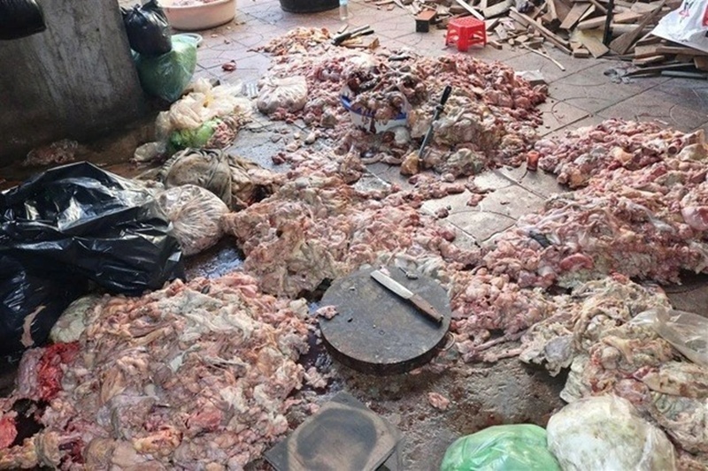 Hãi hùng cảnh mỡ động vật bẩn chất đống dưới nền nhà nhếch nhác, chuẩn bị chế biến tuồn ra thị trường ở Nghệ An- Ảnh 1.