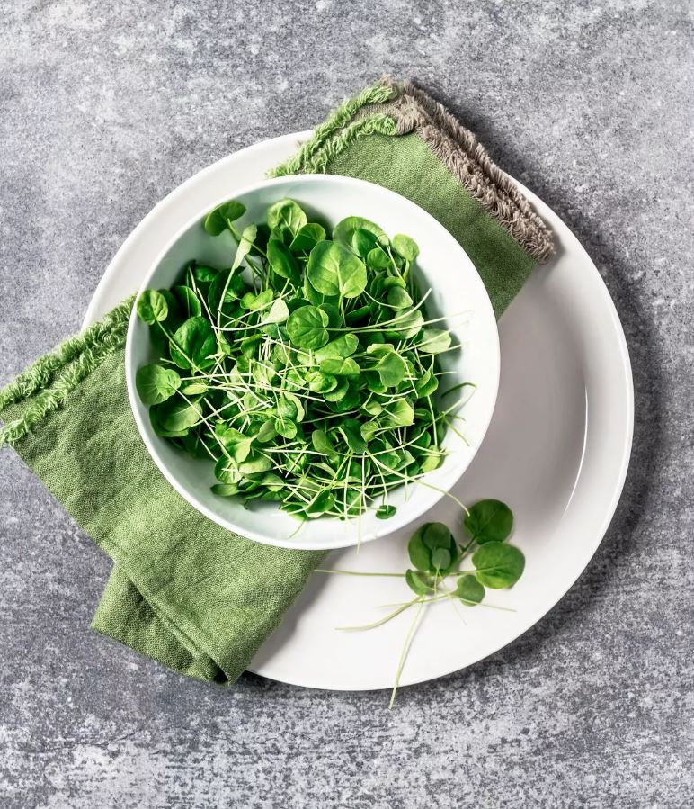 Loại rau tốt bậc nhất thế giới, có thể chống ung thư: Người Anh chỉ dùng trang trí, người Việt nấu đủ món- Ảnh 1.