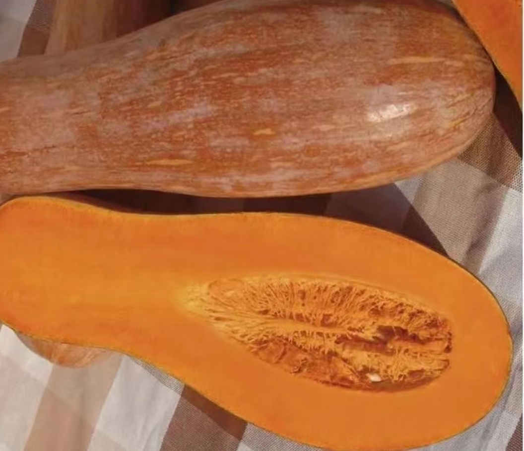 Ông lão nông dân khuyên: