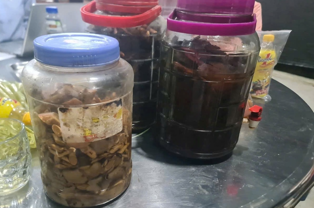 Uống rượu ngâm rễ cây, 6 người bị ngộ độc nặng- Ảnh 1.