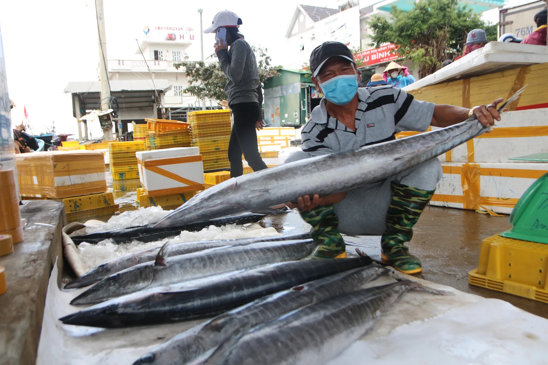 Việt Nam sở hữu loại cá đứng ngôi