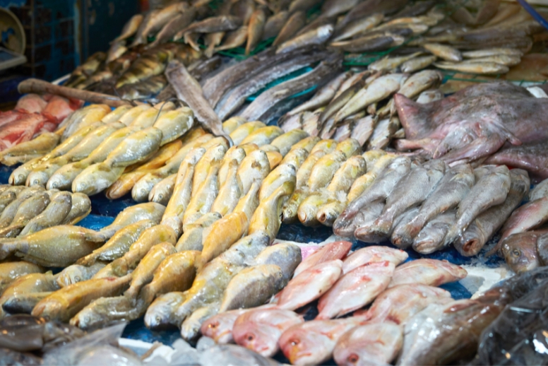 4 loại cá ăn nhiều