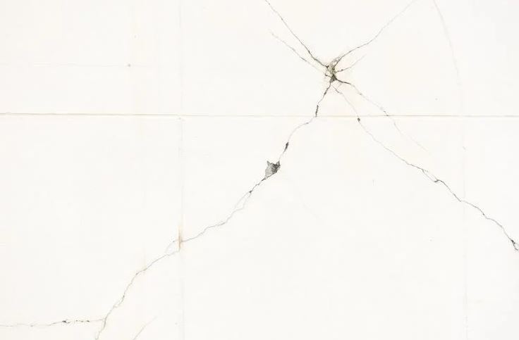 8 cách đuổi rết vĩnh viễn ra khỏi nhà