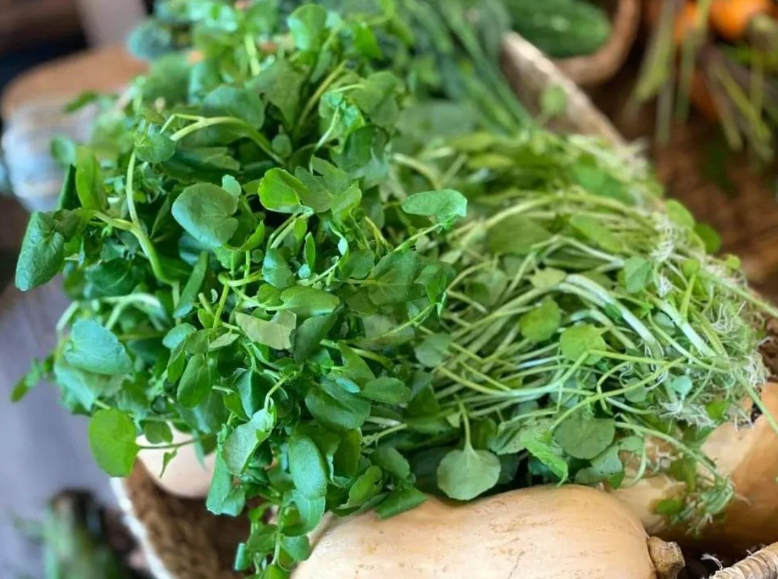 CDC Mỹ bình chọn loại rau duy nhất đạt 100/100 điểm về xếp hạng bổ dưỡng- Ảnh 1.