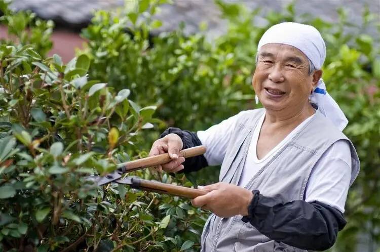 Dù ít vận động, người Nhật vẫn có tuổi thọ cao và tỷ lệ ung thư thấp: Hóa ra có 7 lý do đằng sau- Ảnh 1.