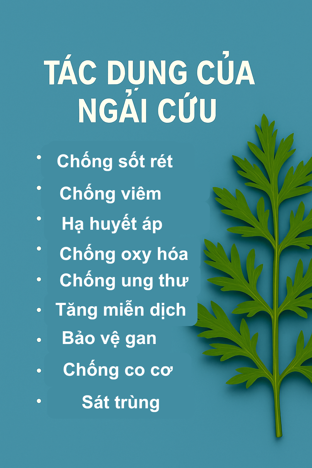 Loại rau được người Trung Quốc ví là
