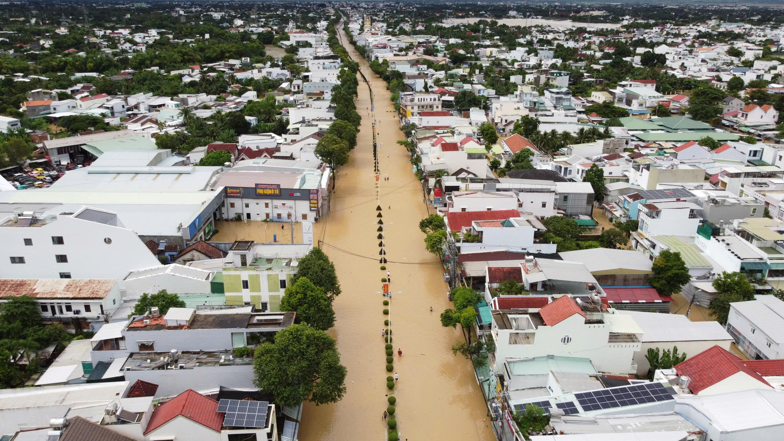 Trung ương hỗ trợ 50 tỉ đồng khắc phục mưa lũ tại khánh hòa - Ảnh 1.