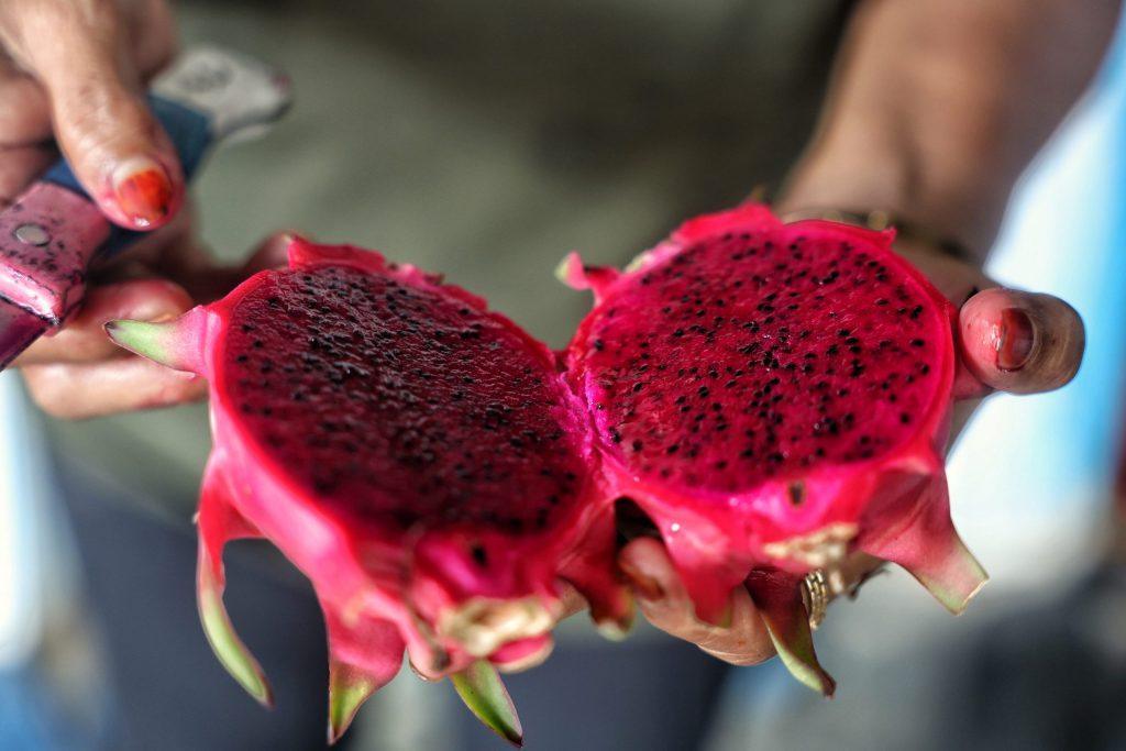 “Yêu” khỏe hơn nhờ ăn thanh long?- Ảnh 1.