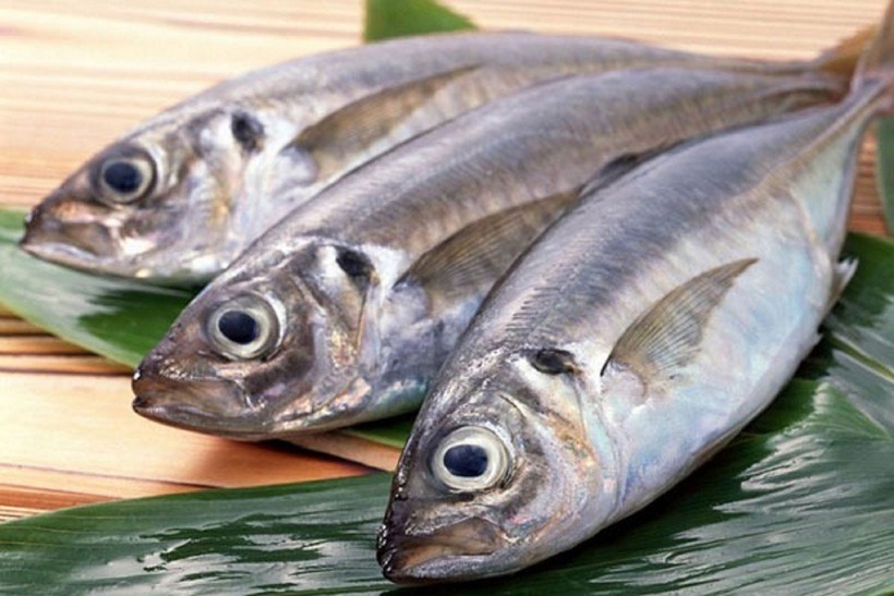 Loại cá nhìn xấu mã nhưng tốt ngang nhân sâm, cao thủ ẩm thực gặp là mua liền- Ảnh 1.