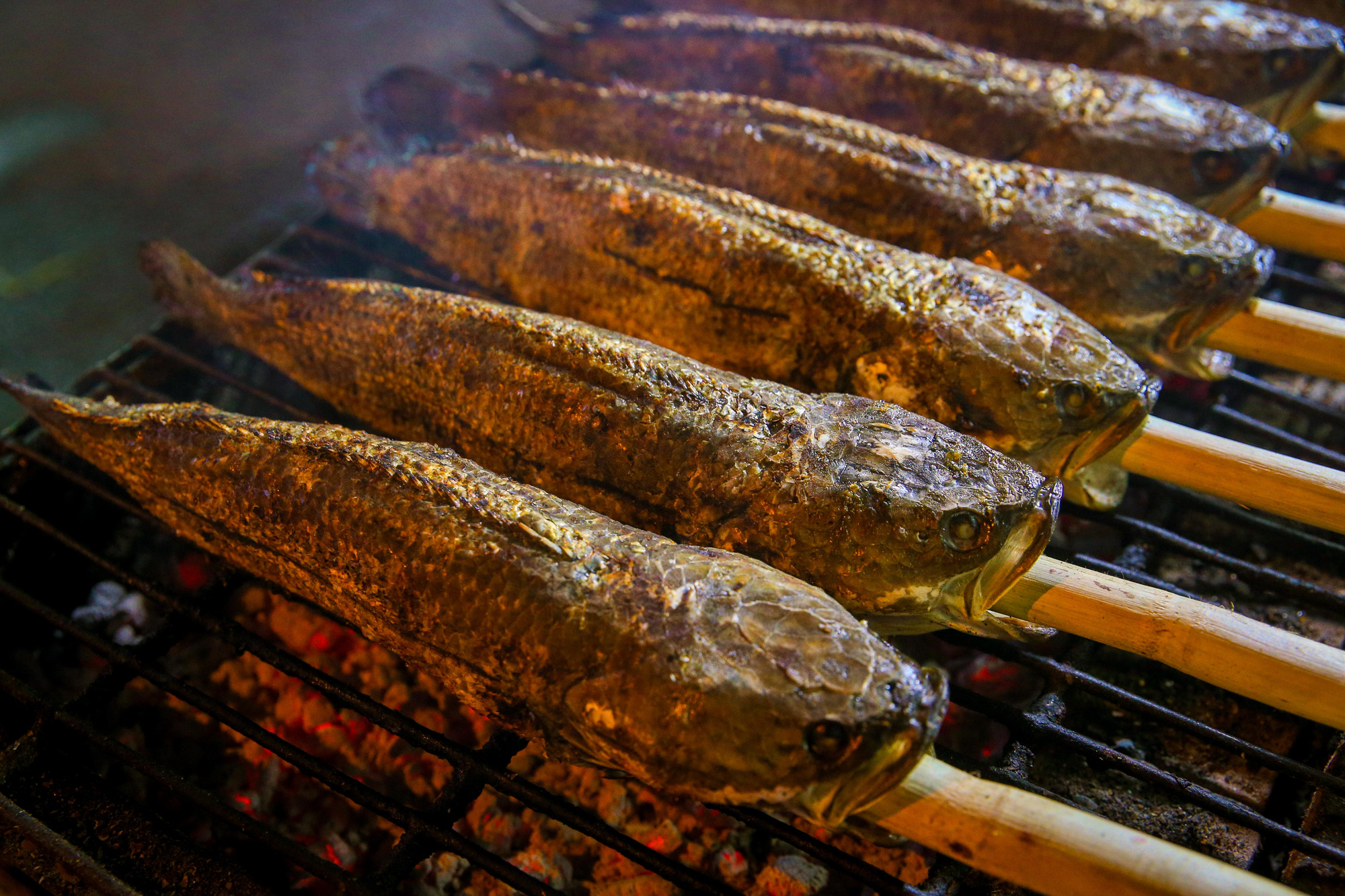 Loại cá thường có trên mâm cúng ngày vía Thần Tài: Được ví bổ như sâm, là “thuốc” dưỡng thận - Ảnh 1.