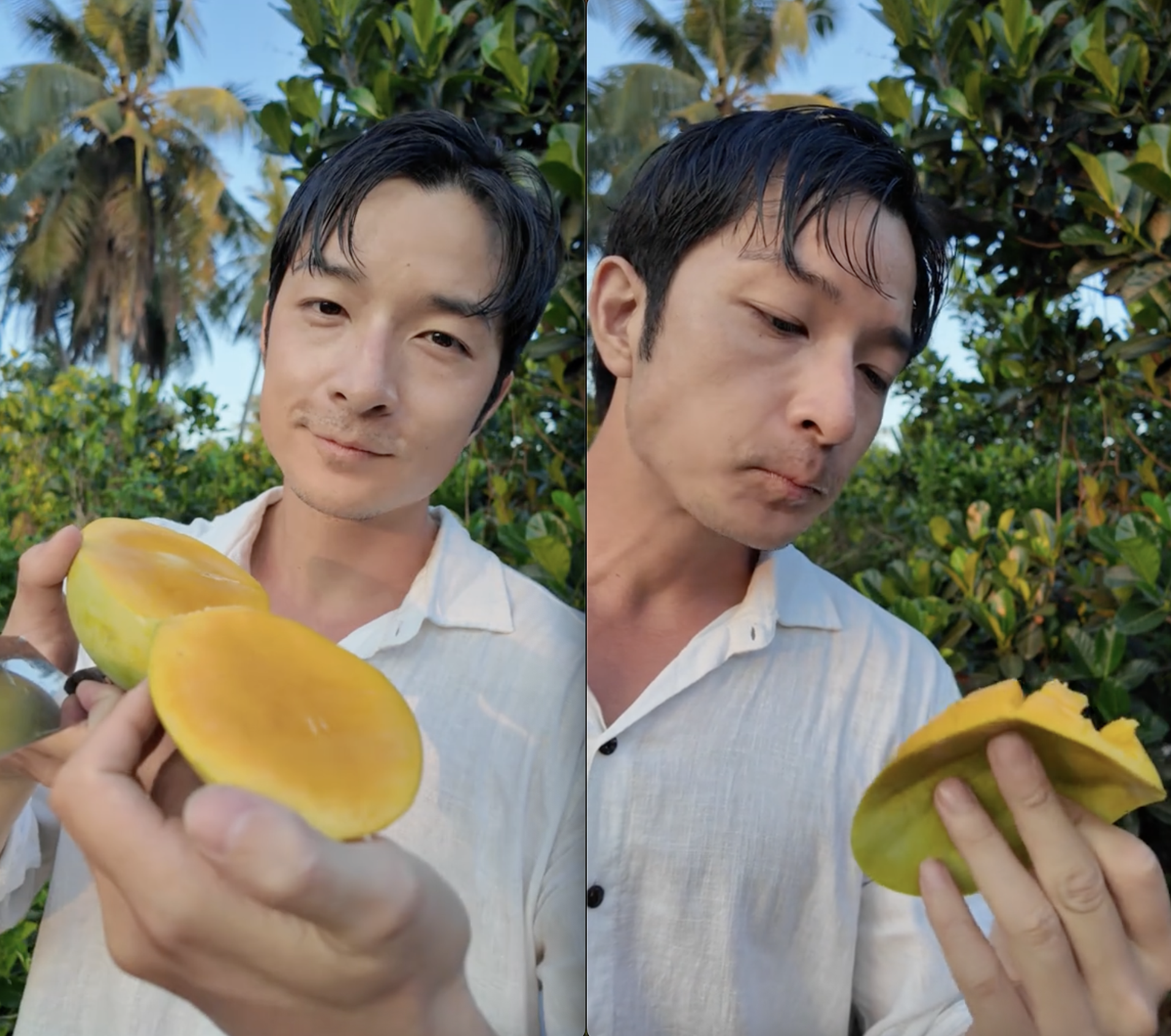 Khách Nhật ăn không ngừng 1 loại trái cây Việt chỉ vì: "Ở Nhật là 400.000 đồng 1 quả"