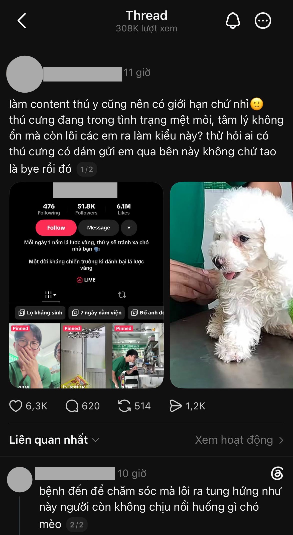 Bác sĩ thú y ở TP.HCM bị cho nghỉ việc sau vụ việc gây phẫn nộ